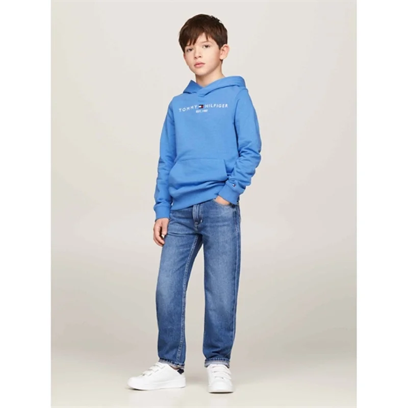 Tommy Hilfiger Essential Hoodie Blue Spell